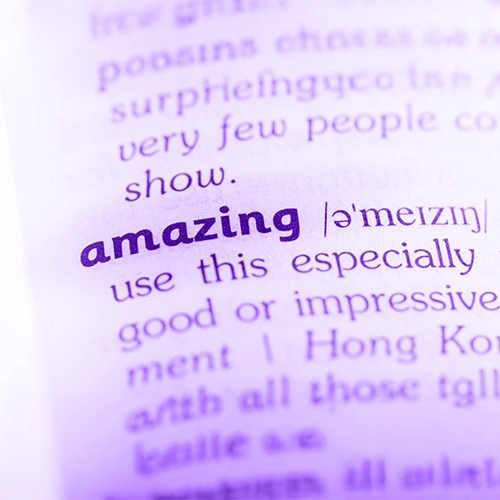 إدارة محتوى المتاجر الإلكترونية وتحسين الظهور في محركات البحث