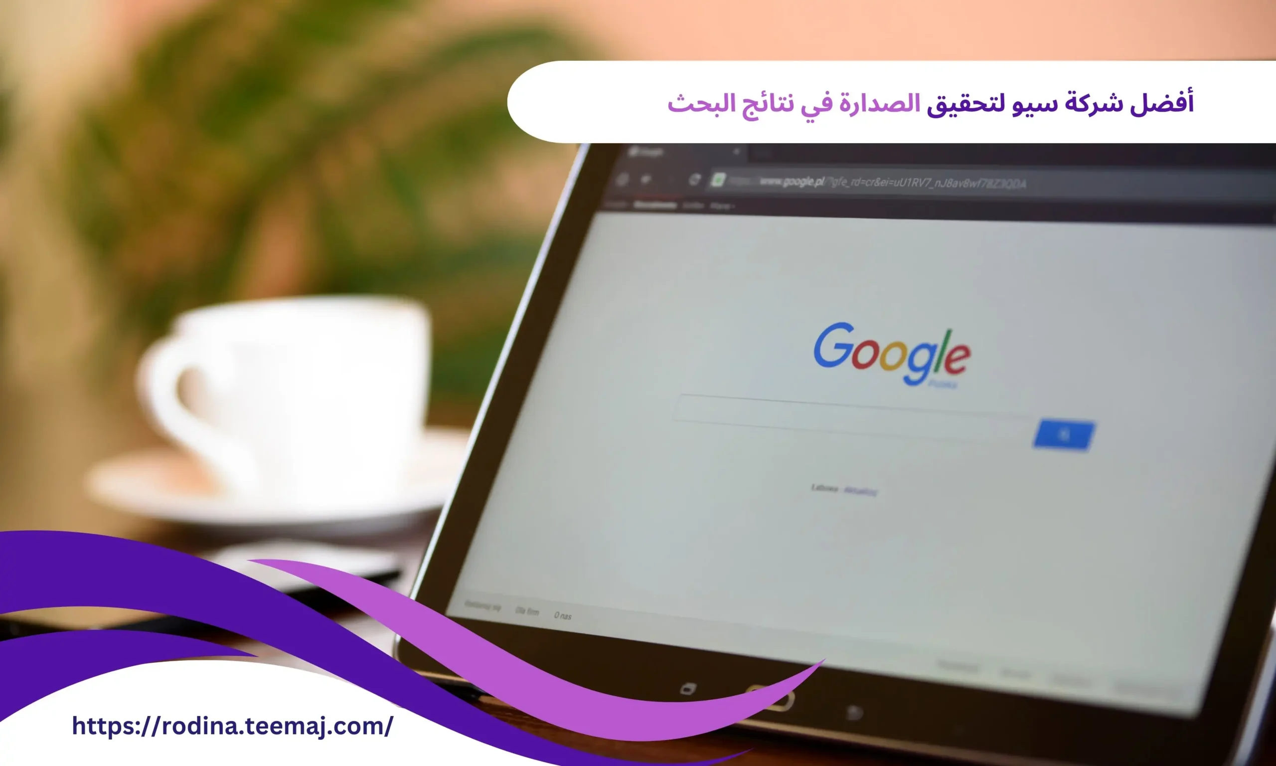 أفضل شركة سيو