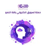 حملة تسويق الكتروني