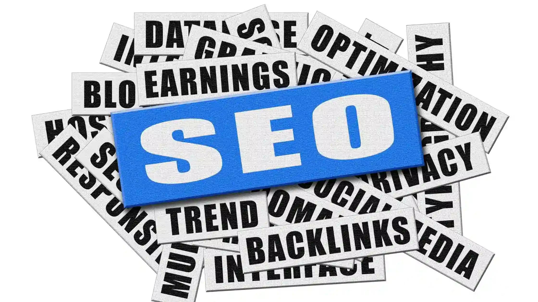 شركة سيو في أبها شركة سيو في أبها