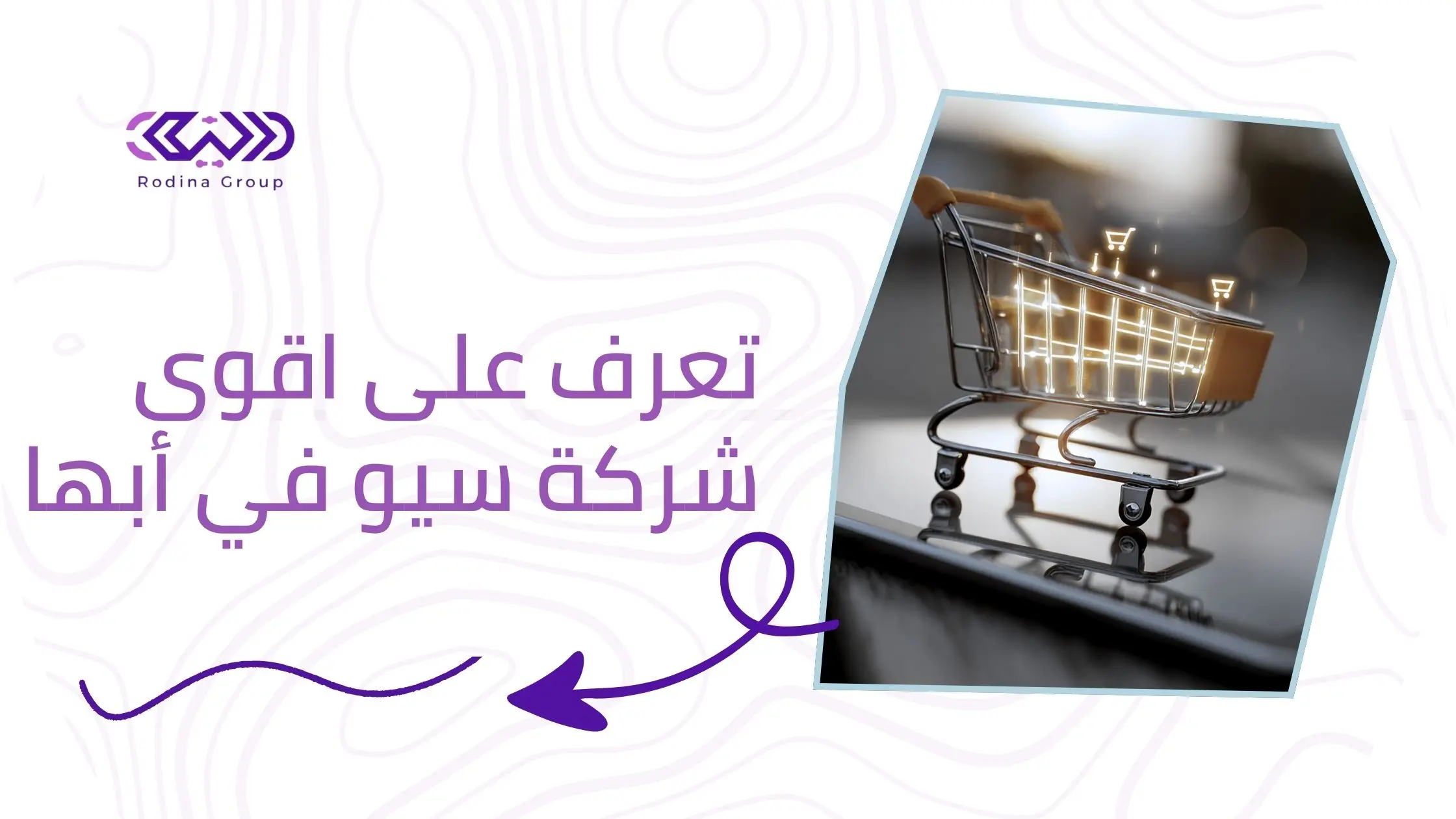 شركة سيو في أبها